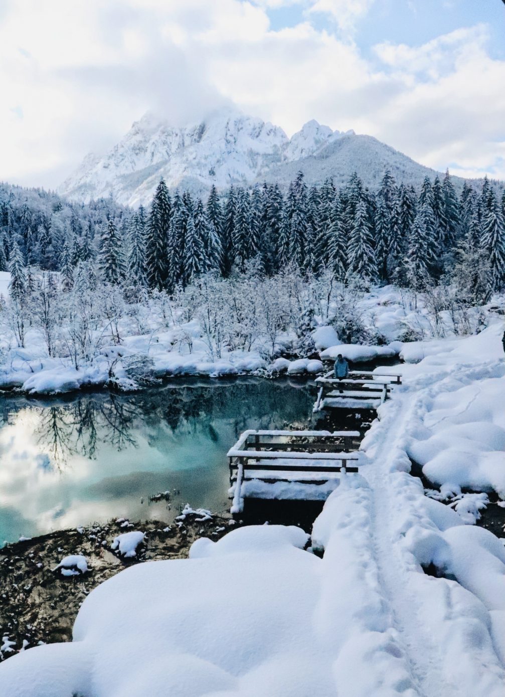 Zelenci Nature Reserve covered in snow in winter