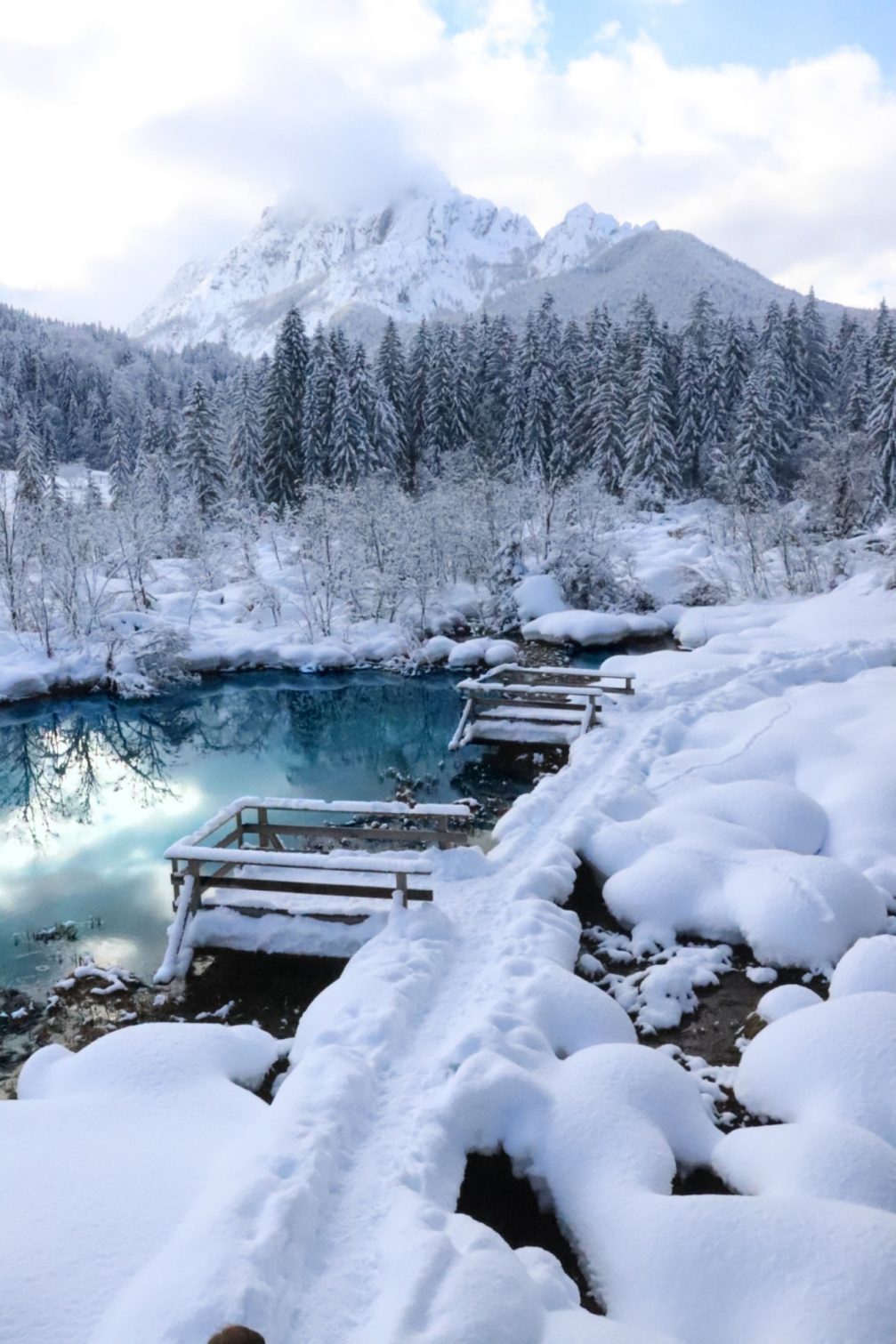 Zelenci Nature Reserve covered in snow in winter with Slovenian Alps in the background