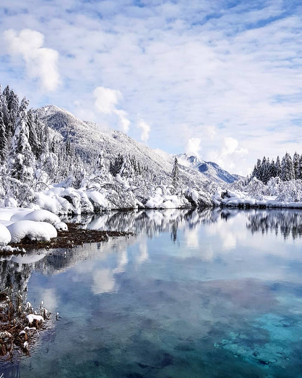 Lake Zelenci in Slovenia in winter with Slovenian Alps in the background