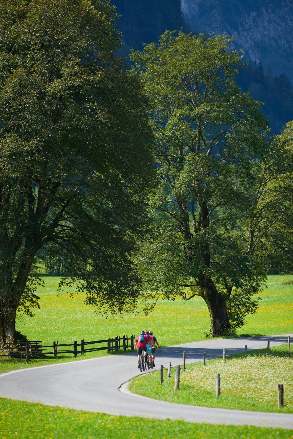 Cycling tour through the Logarska Valley Landscape Park in Slovenia