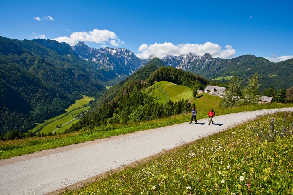 A couple of hikers walking on a road above Logarska Valley in Slovenia