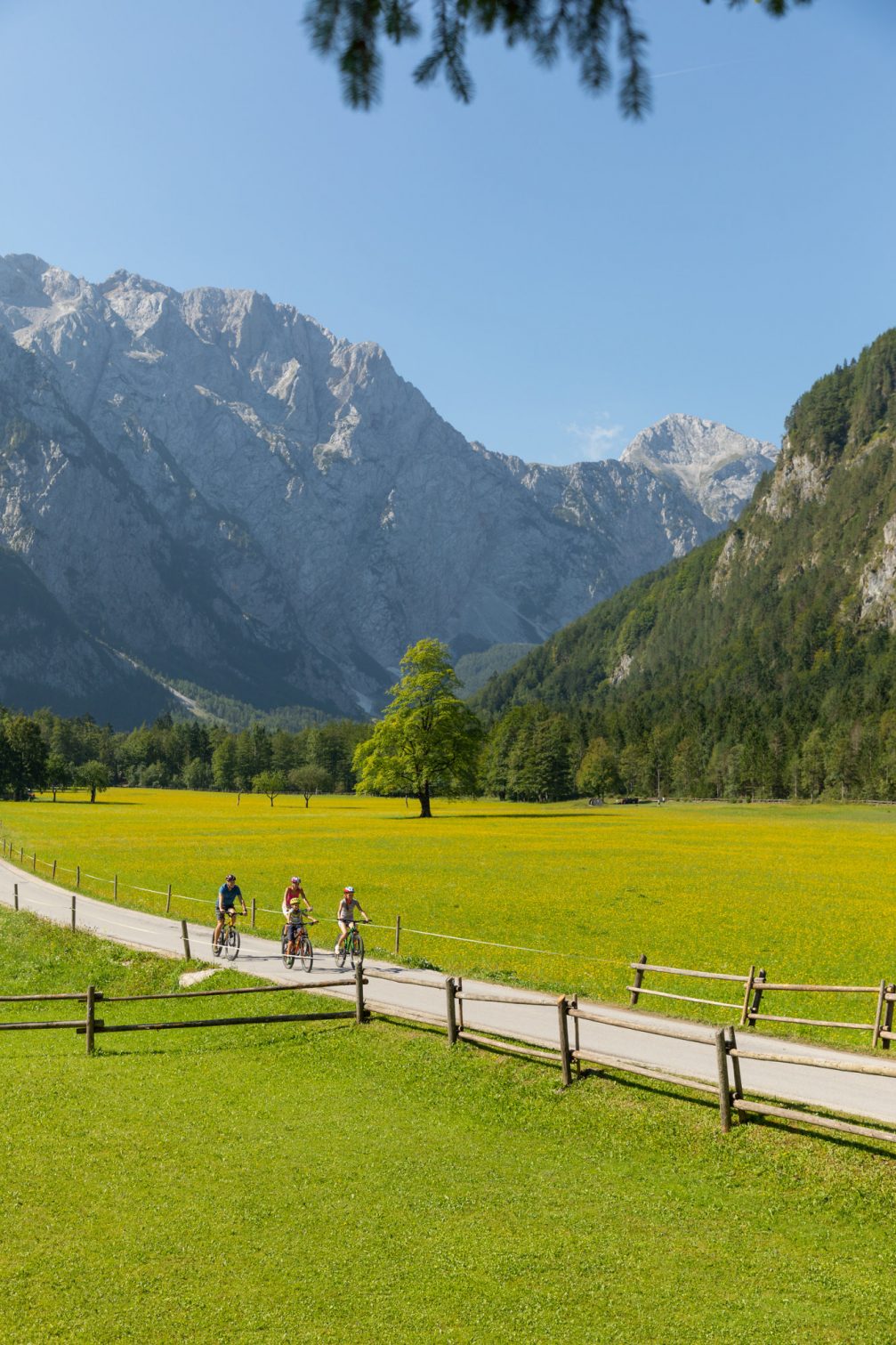 Logarska Valley Landscape Park with Slovenian Alps in the background