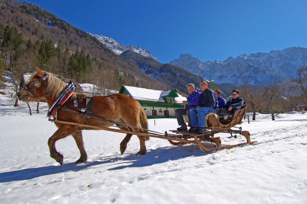 A family playing on the snow in Logarska Valley in winter