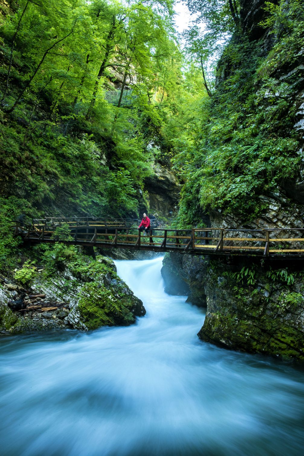 Radovna River flowing through Vintgar Gorge in Slovenia