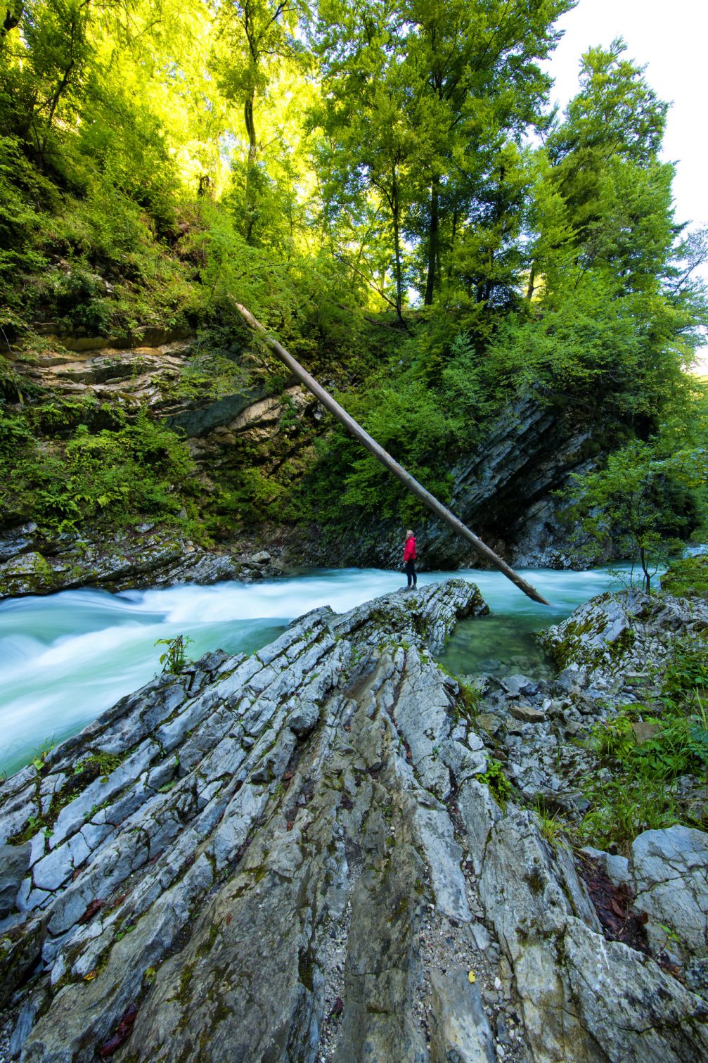 Vintgar Gorge in Slovenia in summer