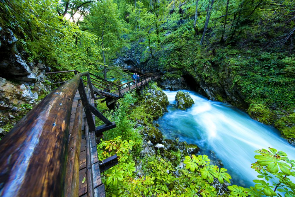 View of Vintgar Gorge in Slovenia