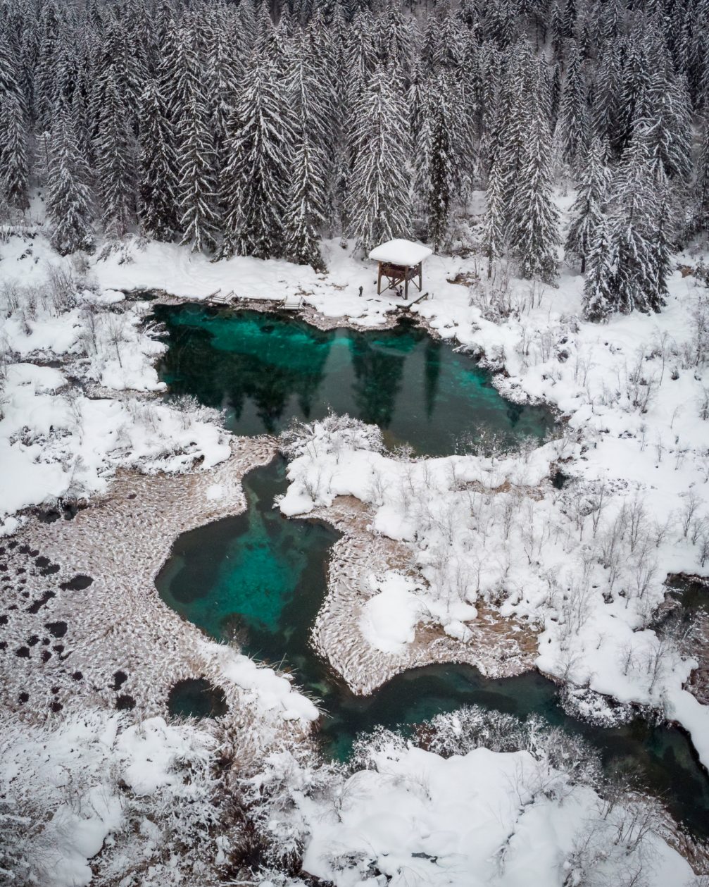 Aerial view of Zelenci Nature Reserve covered in snow in winter