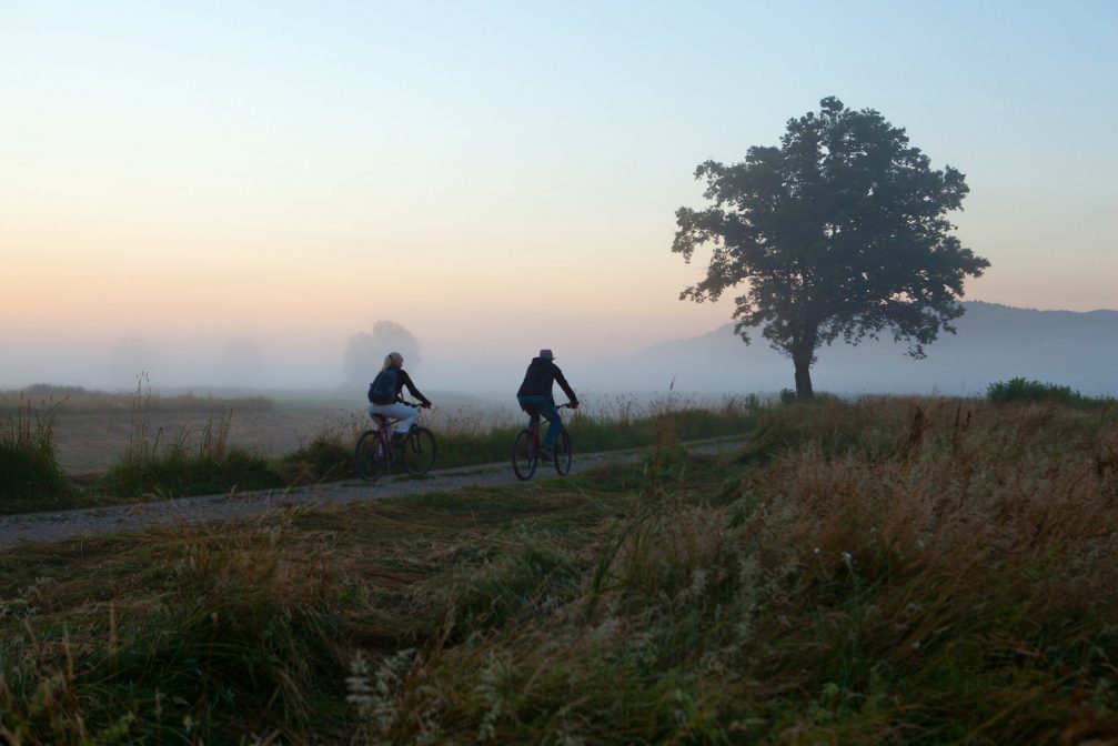 Cycling in Ljubljana Marshes Nature Park in Slovenia