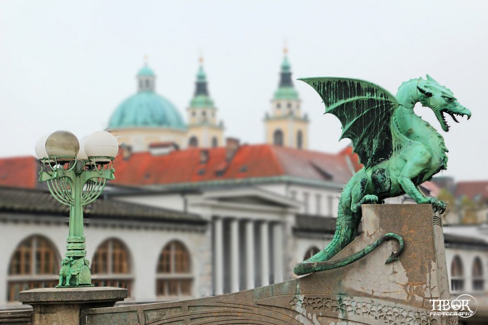 Dragon Bridge in Ljubljana with Central Market in the background