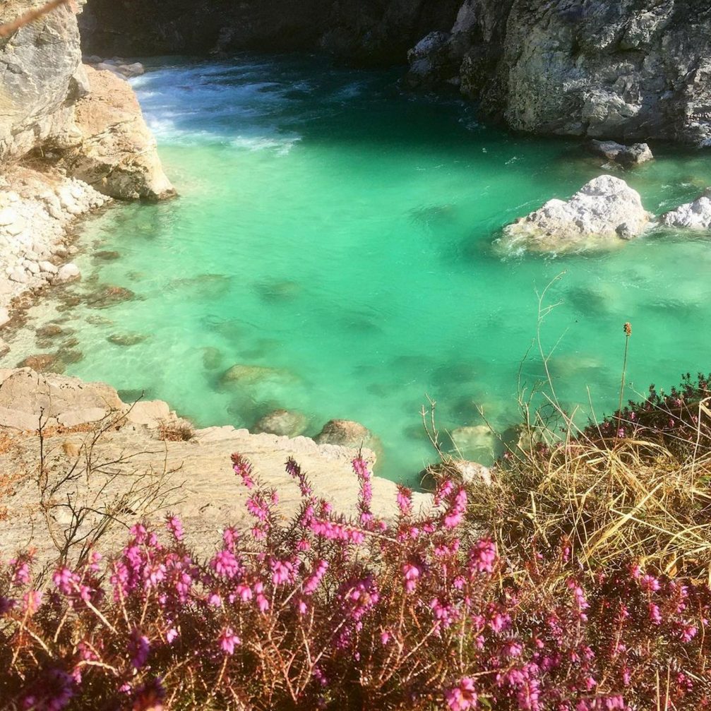 Heather at Soca River in Slovenia in early spring