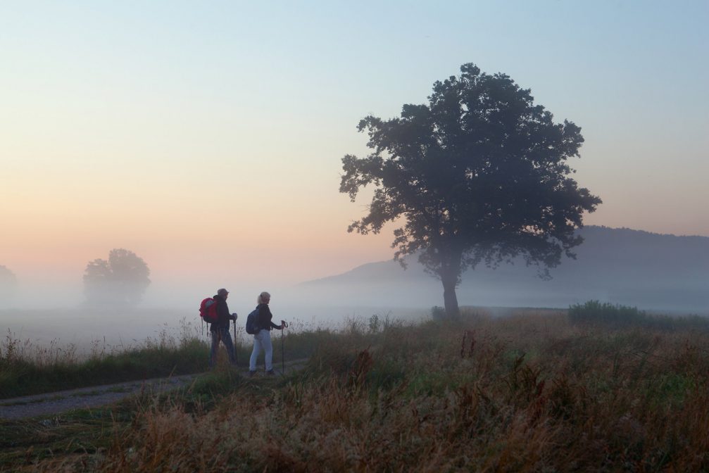 Hikers in Ljubljana Marshes Landscape Park in Slovenia