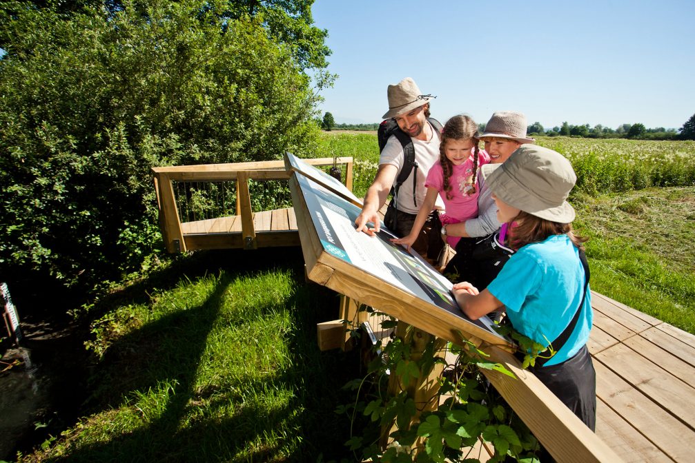 Information board in Ljubljana Marshes Landscape Park in Slovenia