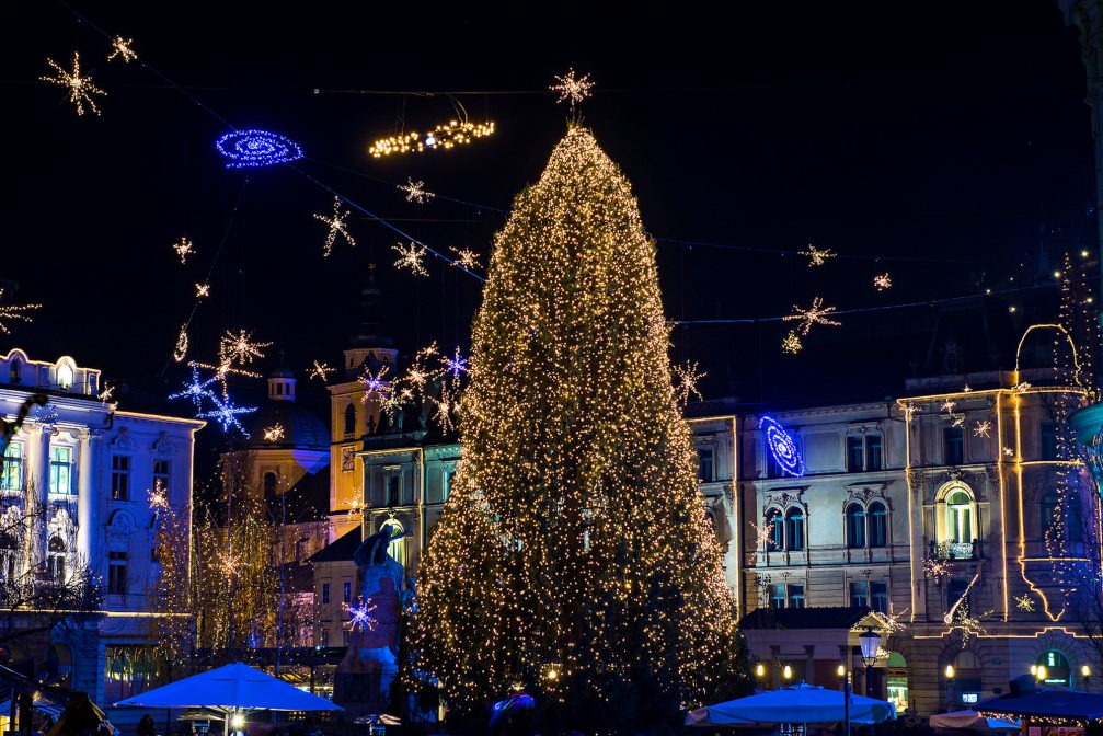 A Christmas tree in Ljubljana in the festive season at night