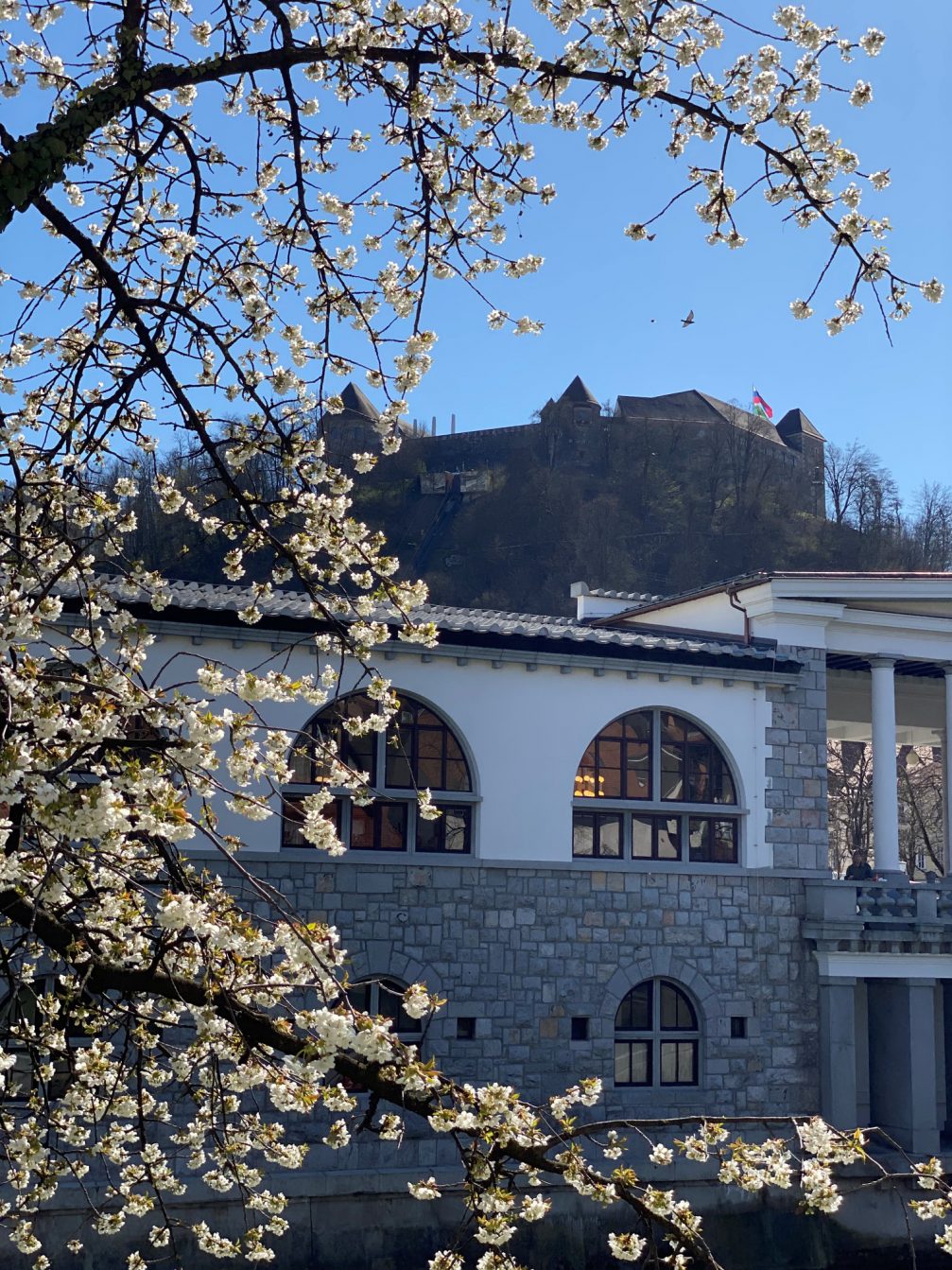 Ljubljana with its hilltop castle in early spring 
