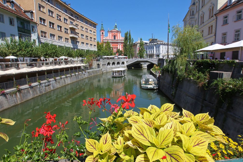 Spring flowers in front of Ljubljanica River in Ljubljana Old Town