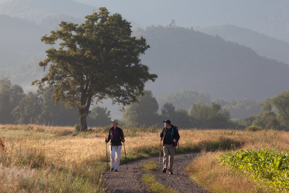 Hiking across Ljubljana Marshes in Slovenia