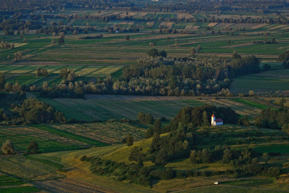 Ljubljana Marshes Landscape Park in Slovenia