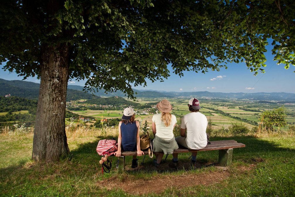 View of Ljubljana Marshes Landscape Park from the nearby hill