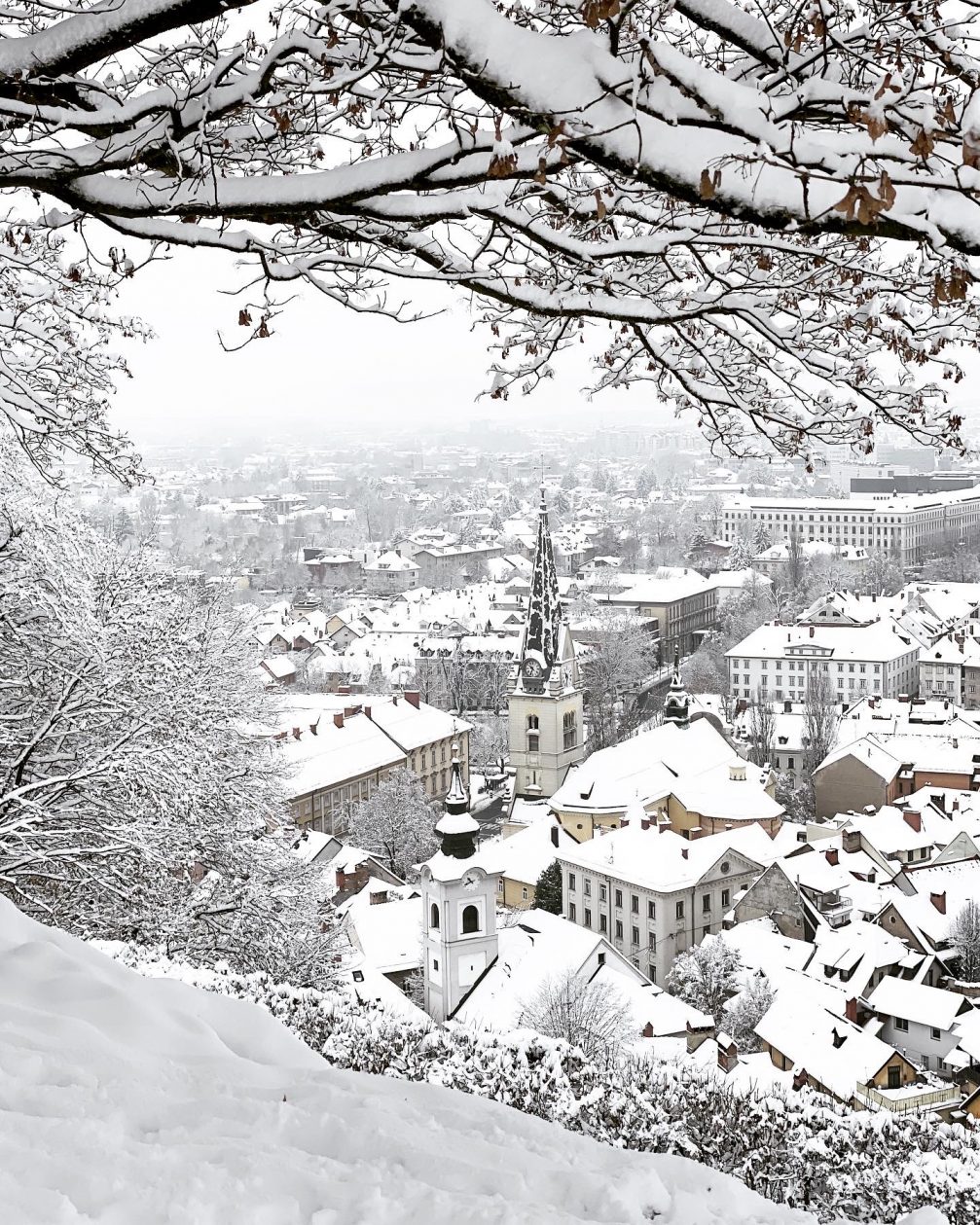 Ljubljana with its snow-topped houses and white weights on covered branches