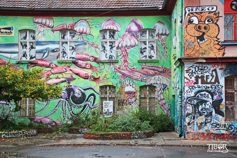 A typical building covered in graffiti in Metelkova in Ljubljana, the capital city of Slovenia