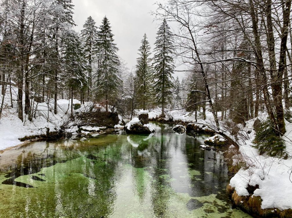 Stream Savica in Bohinj on a cold winter day