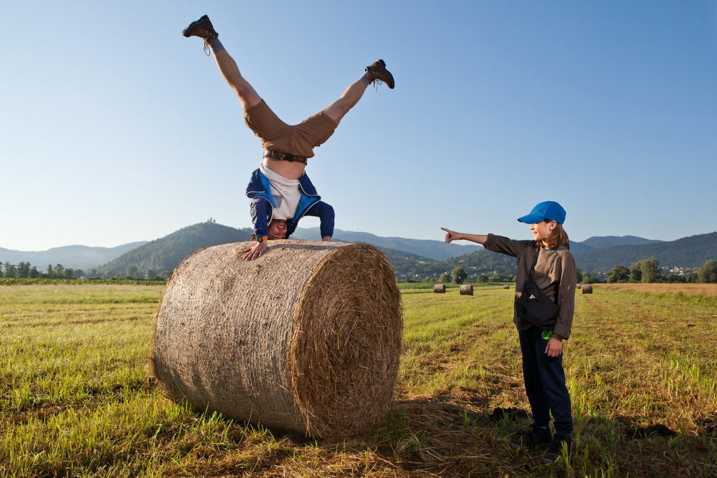 Dry wheat straw bale on a field at Ljubljana Marshes Landscape Park in Slovenia