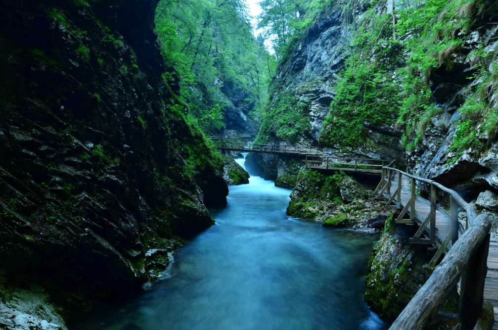 A view in Vintgar Gorge in the Bled area of Slovenia