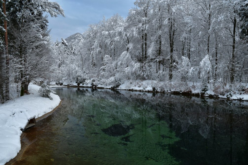 Stream Zavrsnica in Slovenia on a cold winter day