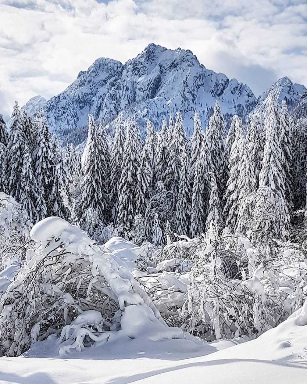 Julian Alps in Slovenia covered in snow