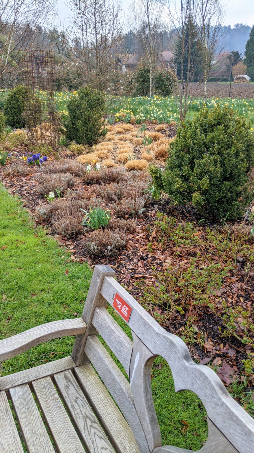 A wooden bench at Arboretum Volcji Potok in spring