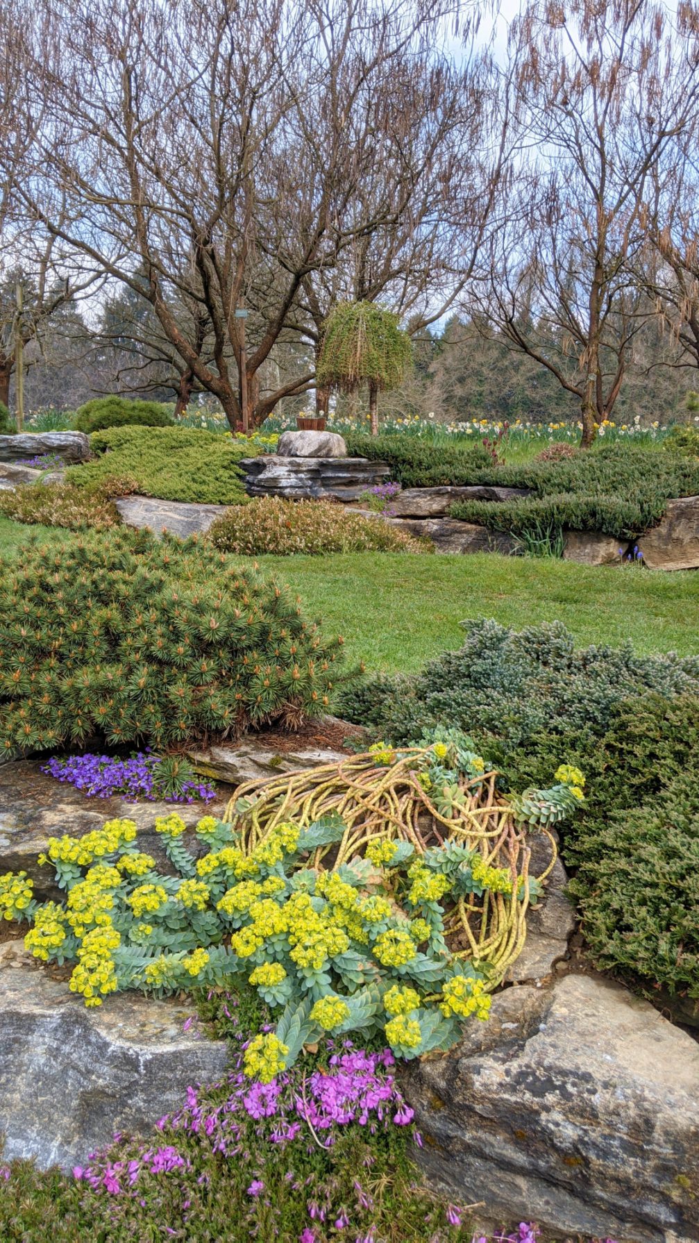 Arboretum Volcji Potok in Slovenia in spring season