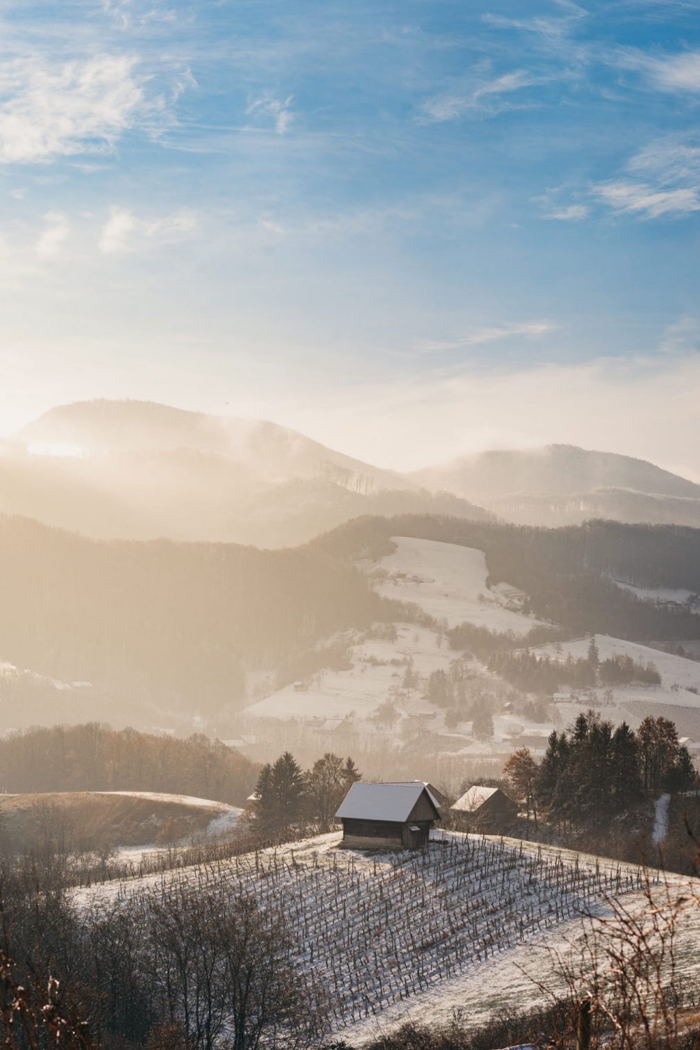 The hilly wine-growing Kozjansko region covered in snow in winter