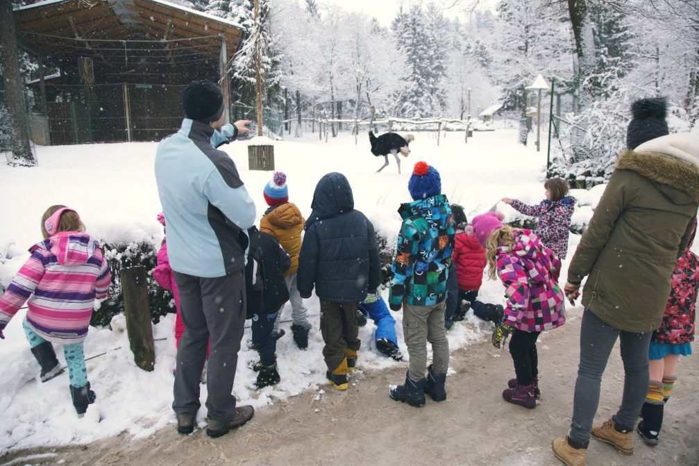 Visitors watching an ostrich in Ljubljana Zoo in winter