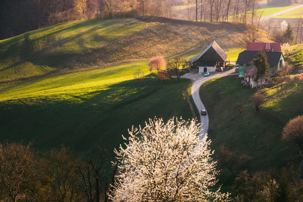 Kozjansko and Obsotelje countryside in spring