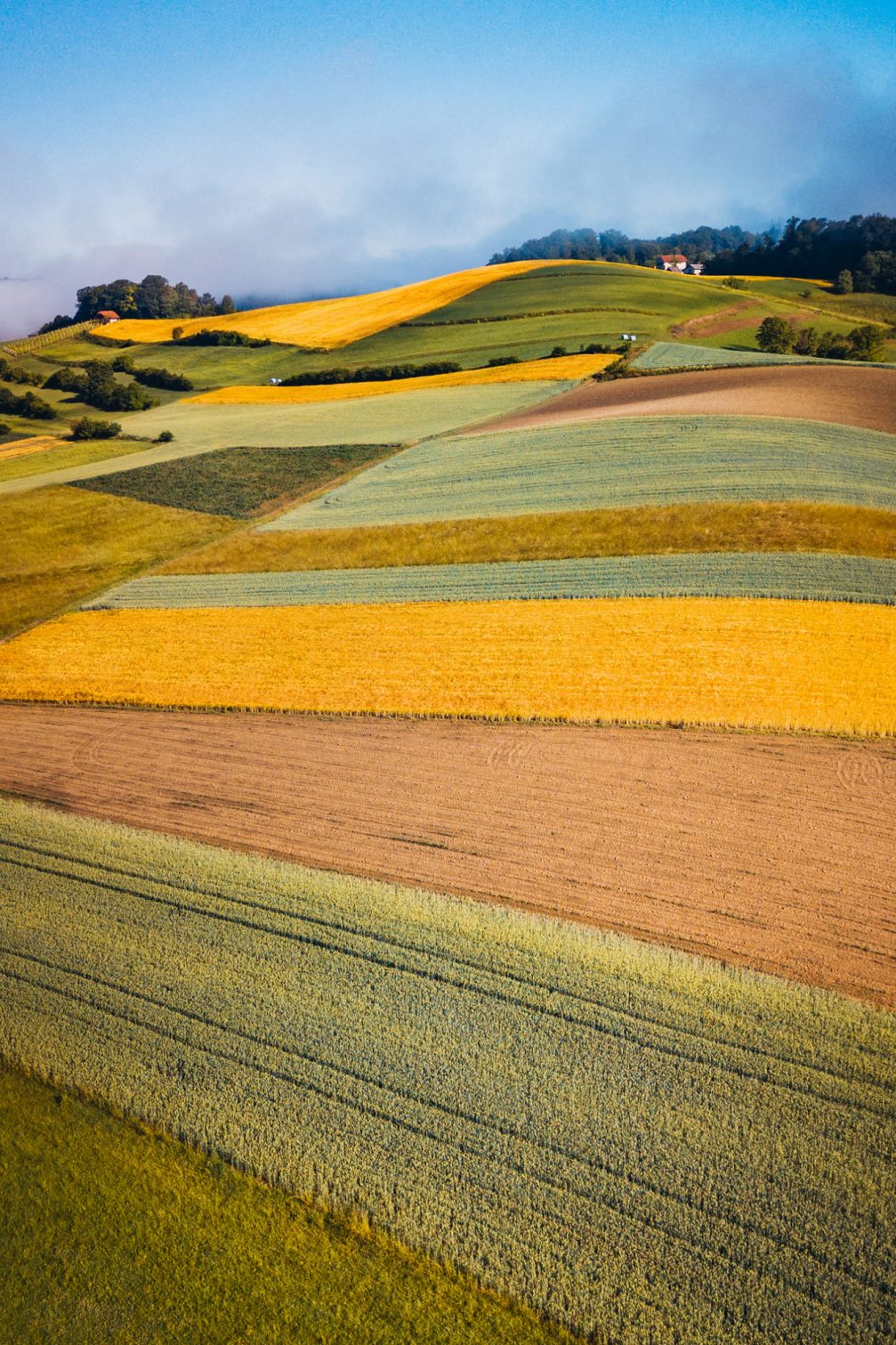 Colourful fields in Pristava Pri Mestinju in the Kozjansko and Obsotelje region in eastern Slovenia