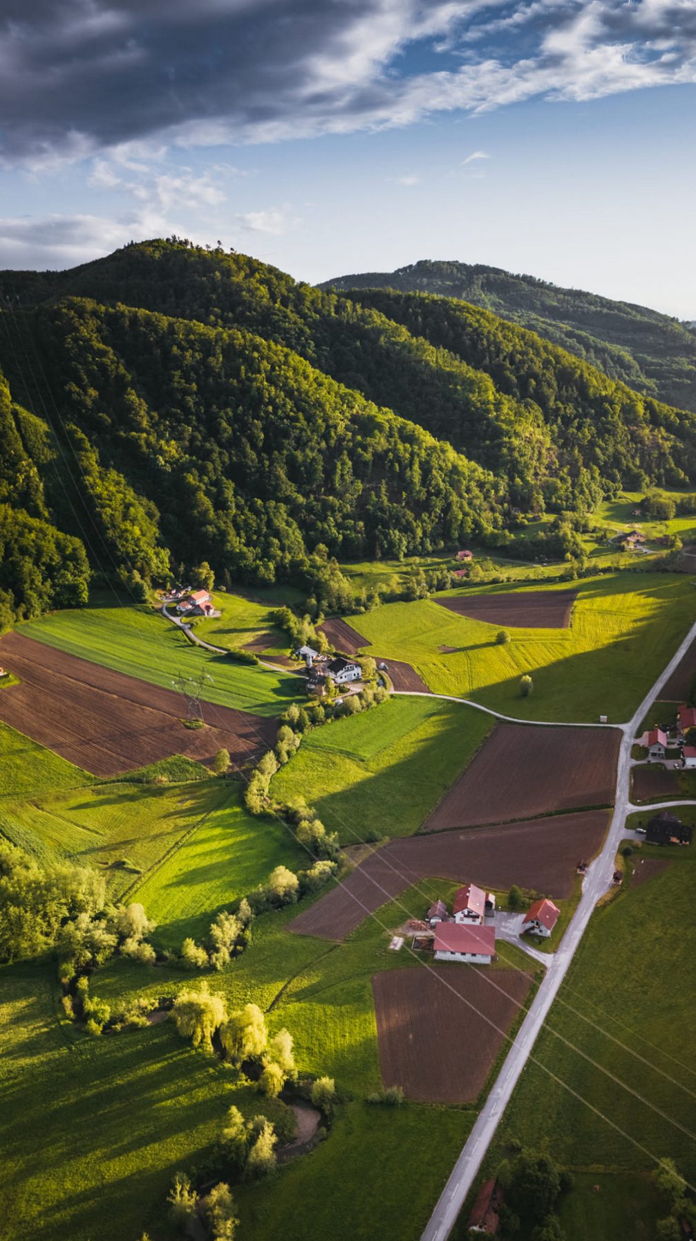 Green Roginska Gorca countryside in the Kozjansko and Obsotelje region in eastern Slovenia