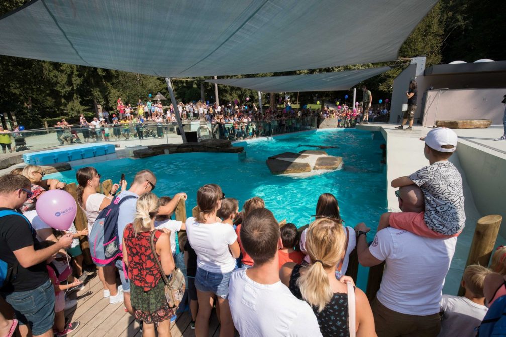 Spectators watching the feeding-time show of Californian Sea Lion in Ljubljana Zoo