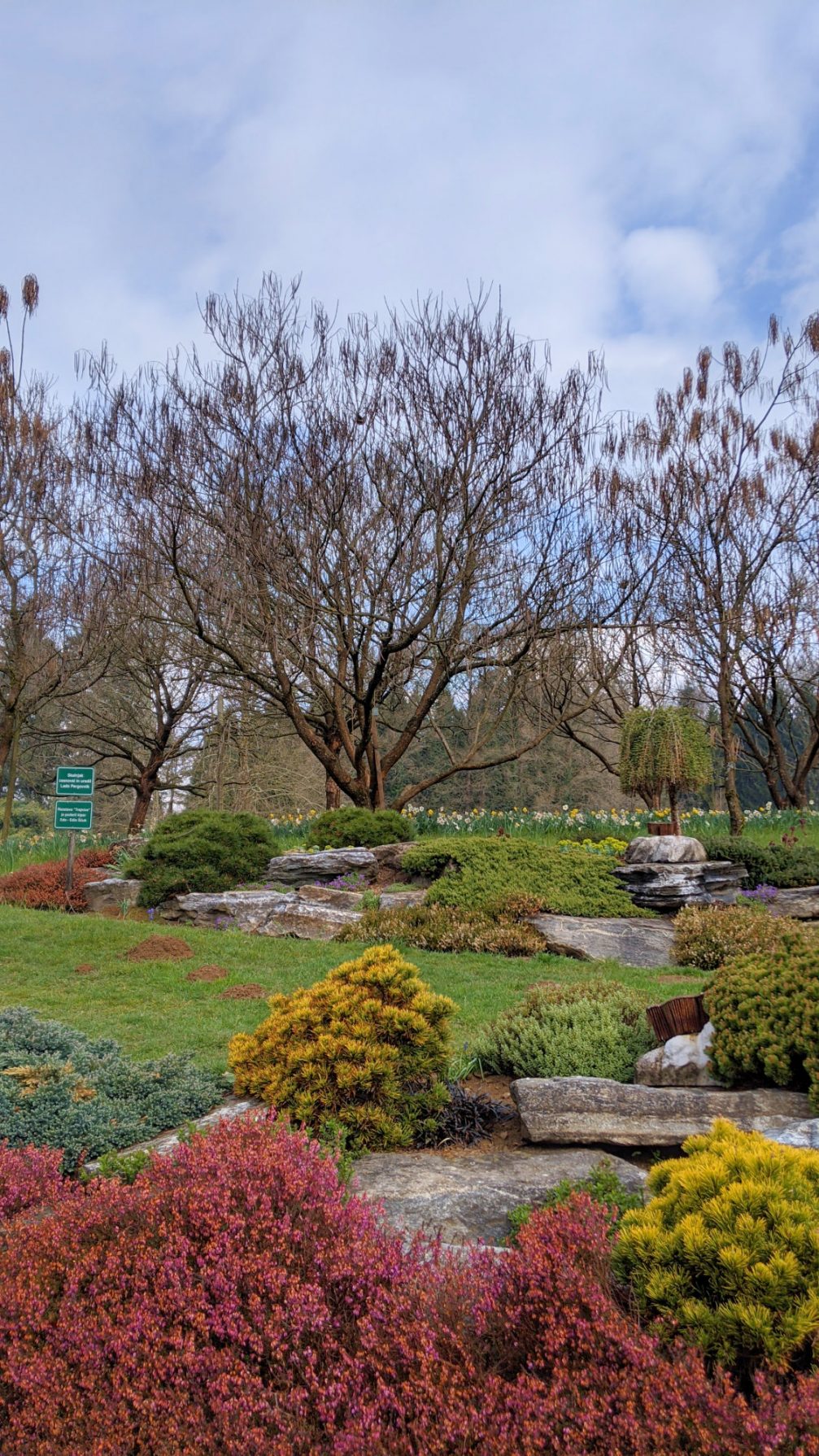 Inside Arboretum Volcji Potok in Slovenia in spring