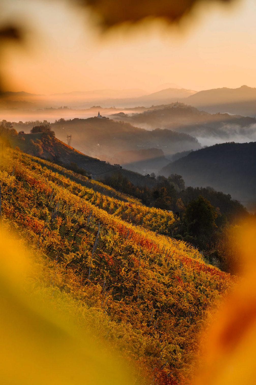 View of Zgornje Tinsko countryside in the Kozjansko and Obsotelje region in autumn