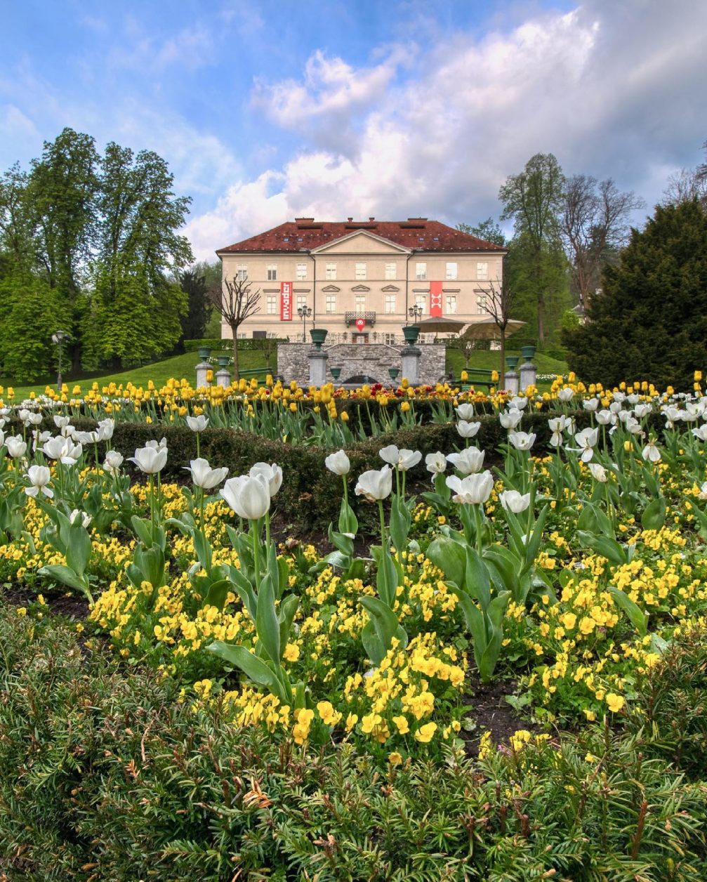 Thousands of tulips in Tivoli Park in Ljubljana in spring