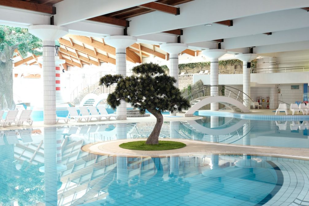 A tree and pools at the indoor part of the complex at Terme Catez in Slovenia