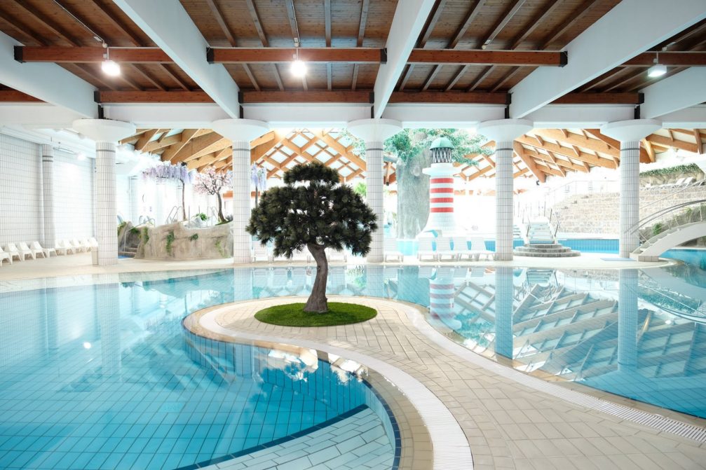A tree indoor at Terme Catez in Slovenia