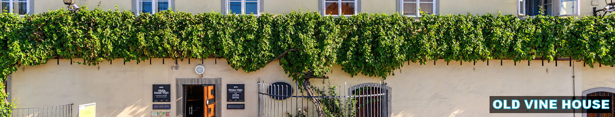 TRAVELSLOVENIA.ORG – All You Need To Know To Visit Slovenia