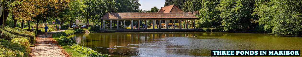 TRAVELSLOVENIA.ORG – All You Need To Know To Visit Slovenia