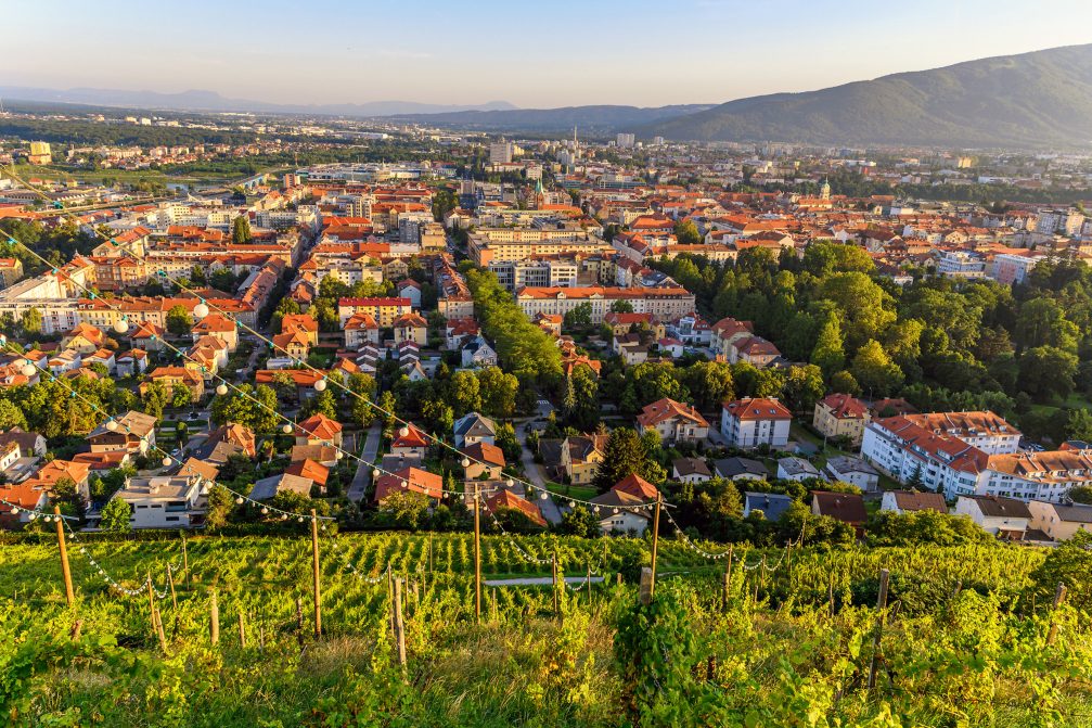 View of Maribor, Slovenia and its vineyards