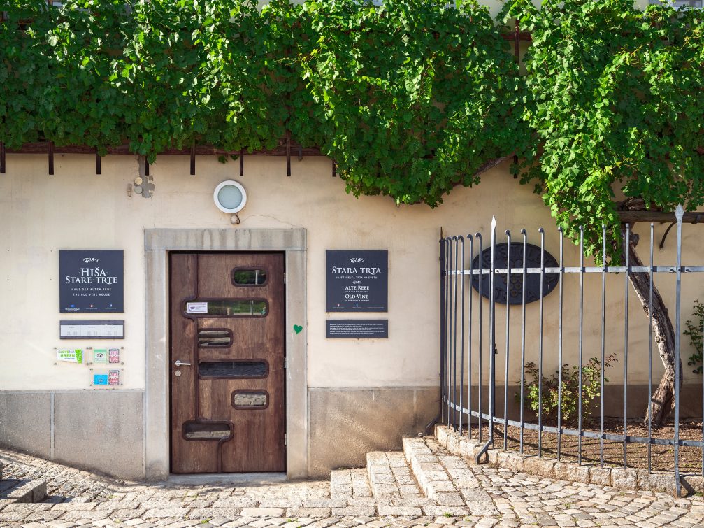 Entrance to Old Vine House in Maribor, Slovenia