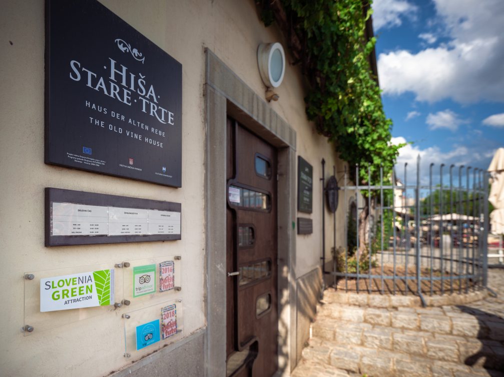 Front doors of Old Vine House in Maribor, Slovenia