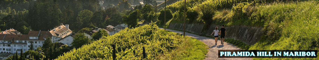 TRAVELSLOVENIA.ORG – All You Need To Know To Visit Slovenia