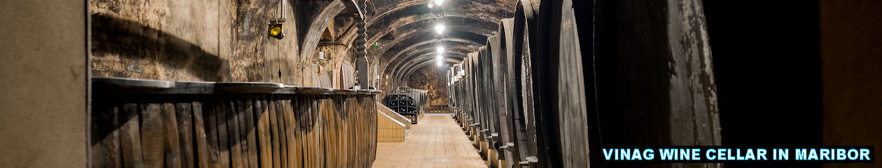 TRAVELSLOVENIA.ORG – All You Need To Know To Visit Slovenia