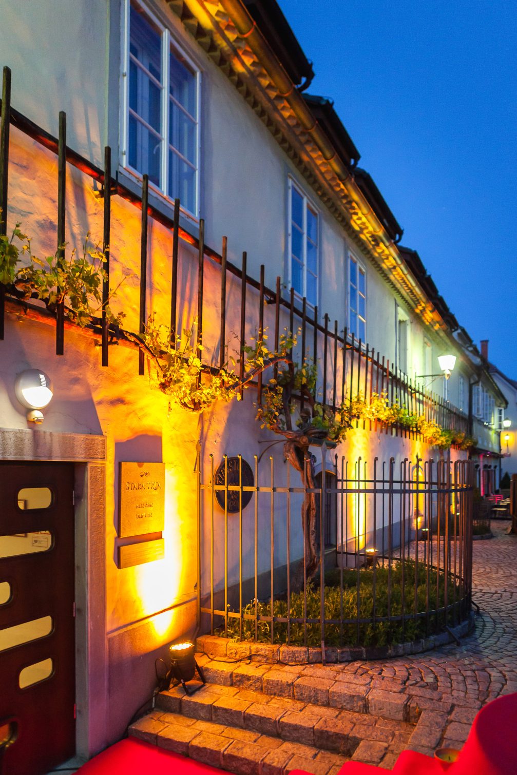 Zametovka Old Vine in front of Old Vine House in Maribor, Slovenia